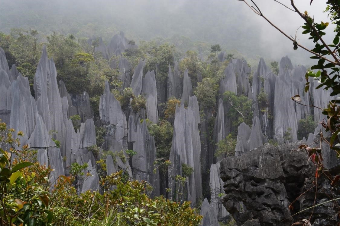PAL BLANKO - The Pinnacles, Borneo