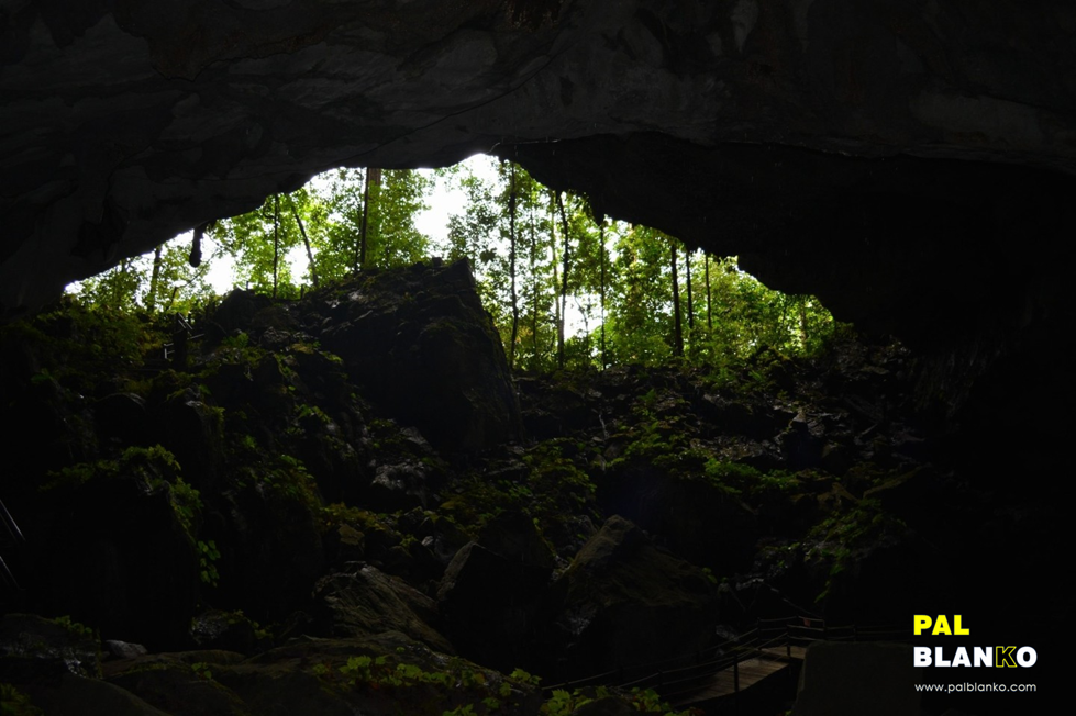 Pal Blanko - Borneo Jungle Image - Snake Cave
